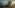 Fallout 76 May Have Crossplay Some Day – Creative Director