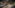 Kingdom Come: Deliverance 2 – Patch 1.2 Goes Live on March 13th
